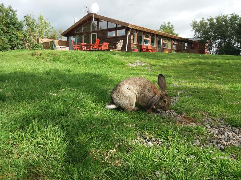 Geysir Hestar Hostel Haukadalur Exterior foto